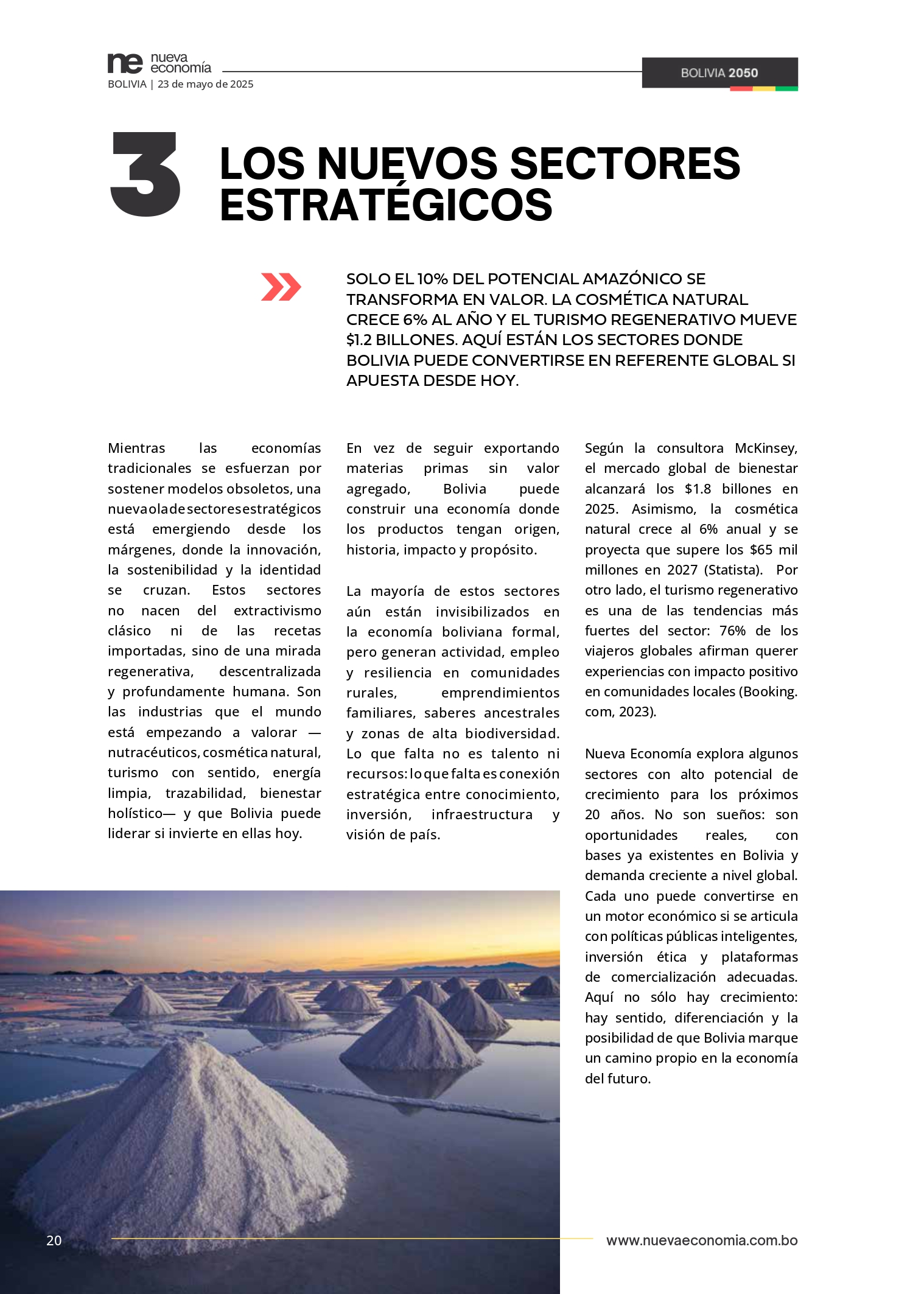 Página 20 de Bolivia 2050